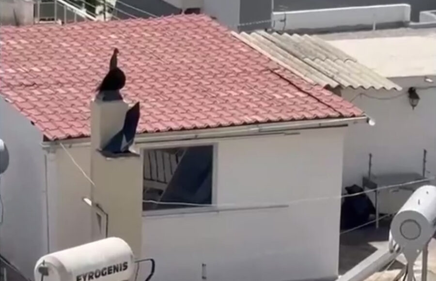 &nbsp;